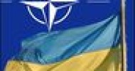 НАТО предложит Украине сотрудничество