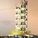 V_Avstralii_predlozhili_postroit-b