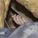 bank_9479_img_200x230_10781