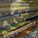366525_image_large