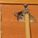 367281_image_large