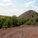 369007_image_large