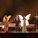 ~eurovision_30591_0x0_mc