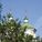 file980753_90e784bf23ead1f765