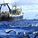 369951_image_large