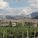 370628_image_large