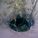 370807_image_large