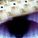 372914_image_large