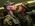 soldat_27.02.09