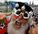 th-165-germany_fan