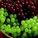386822_image_large