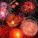 bank_16065_img_200x230_51320
