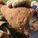 407967_image_large