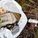 254520_20110418090029[160846](265x198)