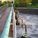 27012011060837_ochist