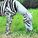 bank_25617_img_200x230_14679