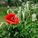 originnal_6c98da26eacb879cb61c8e269bbd682b