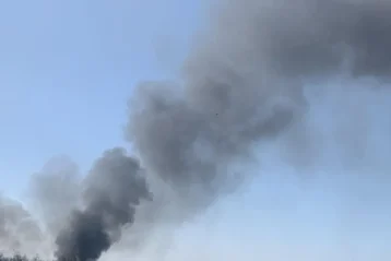 Темний густий дим піднімається в блакитне небо над деревами