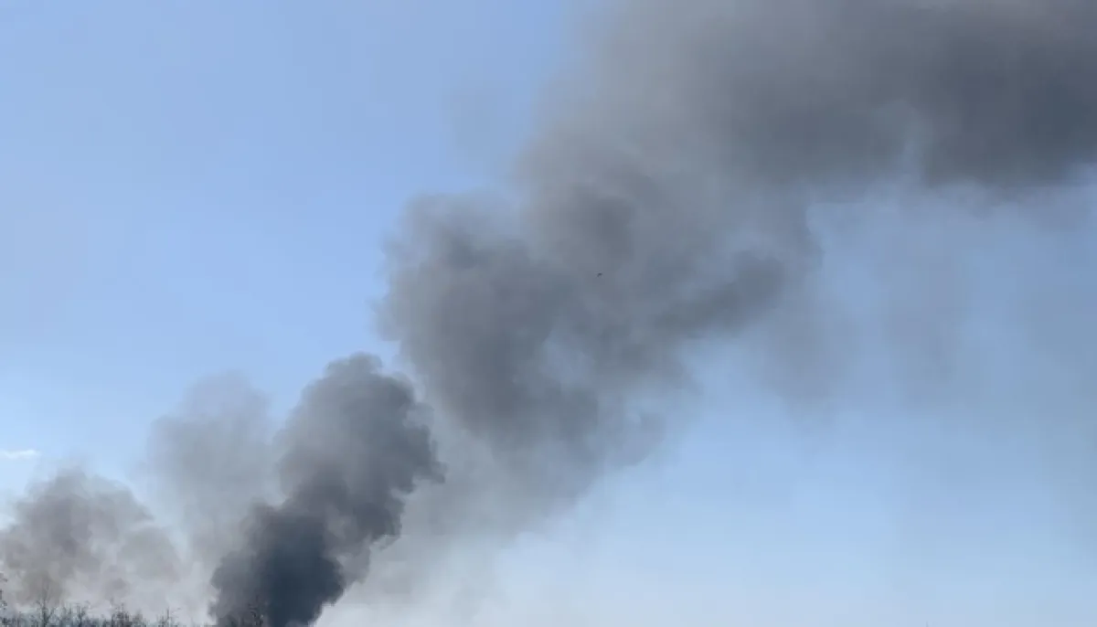 Темний густий дим піднімається в блакитне небо над деревами