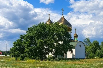 Біла православна церква із золотими банями за деревом на лузі